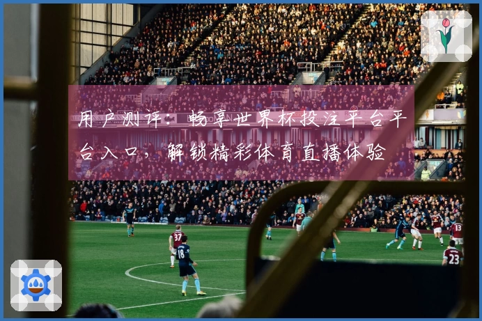 用户测评：畅享世界杯投注平台平台入口，解锁精彩体育直播体验
