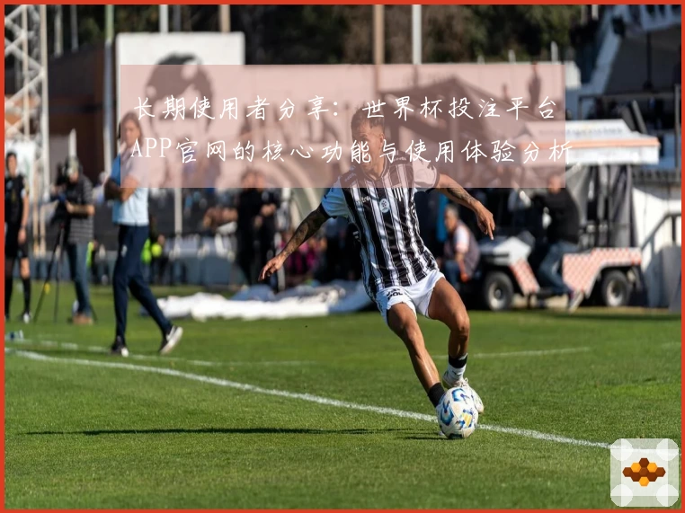 长期使用者分享：世界杯投注平台APP官网的核心功能与使用体验分析
